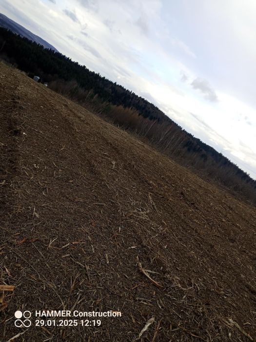 Mulczowanie usuwanie zakrzaczen samosiejek czyszczenie dzialek