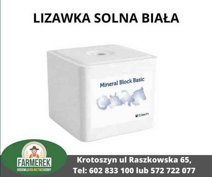 Lizawka solna biała BASIC/ 36 sztuk/wysyłka