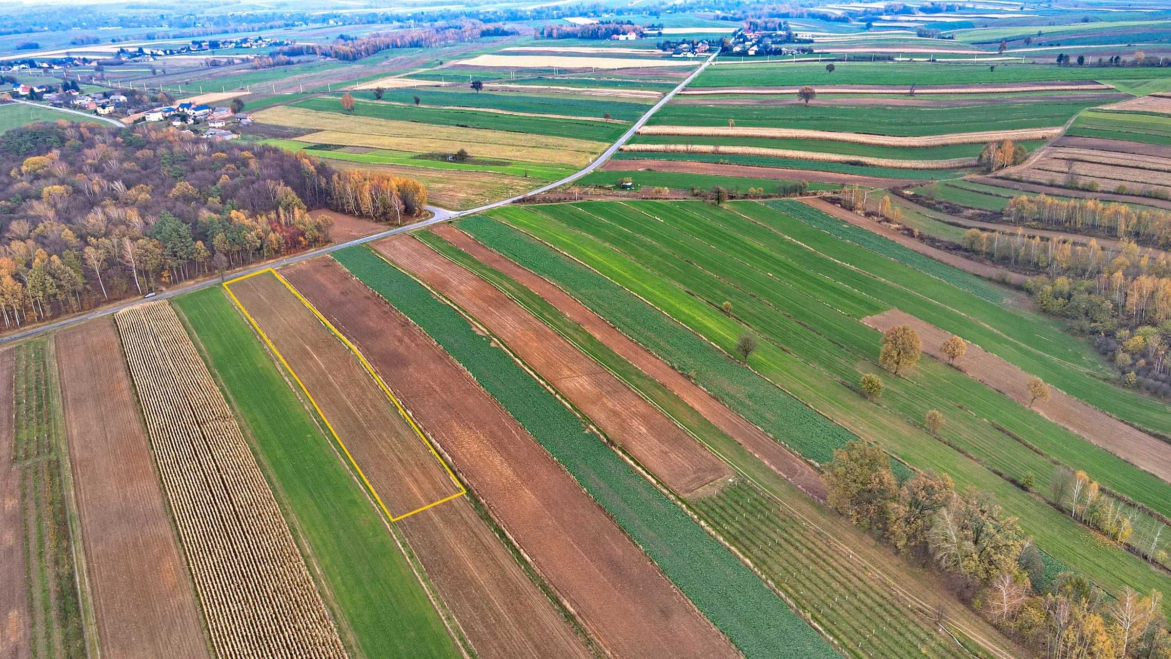 Działka pod budowę Karpiówka koło Kraśnika