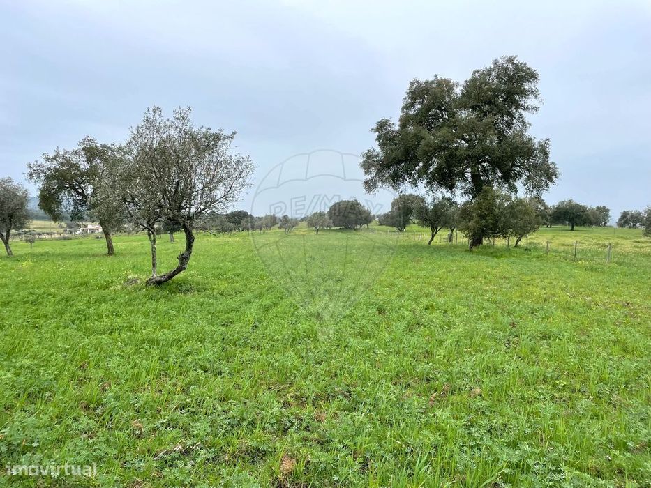 Terreno  para venda
