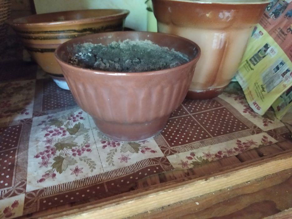 Горшок для комнатных цветов