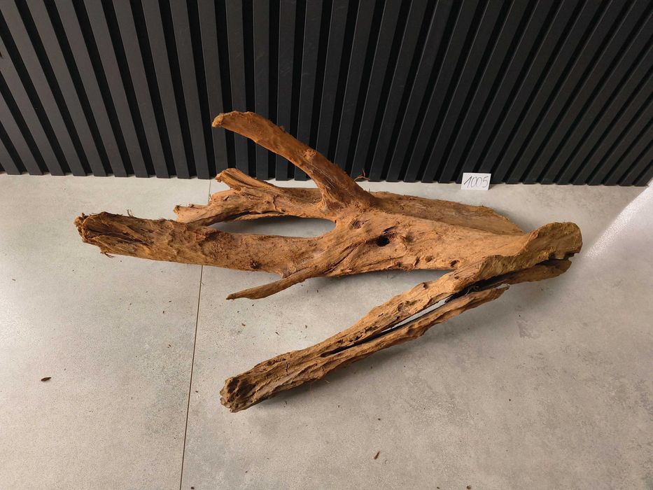 Korzeń MANGROWCA XXXL 1008 akwarium terrarium 210x140x40 Unikat Duży