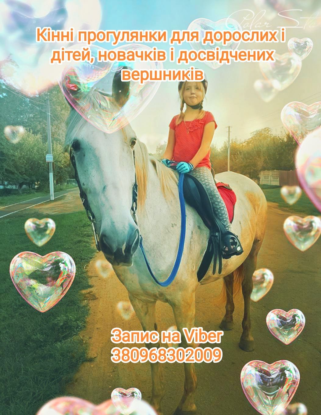 Кінні прогулянки, тренування, фотосесії