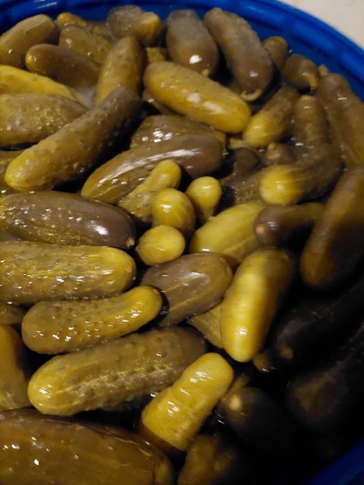 Kapusta kiszona bez konserwantów oferta hurtowa