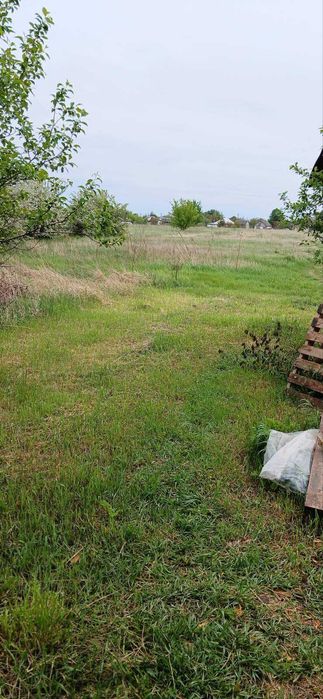 Продається будинок в с. Соснове, Черкаської обл. - 8000 у.о