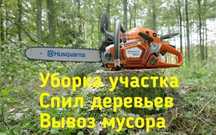 Уборка участков спил деревьев веток корчевание пней демонтаж вывоз