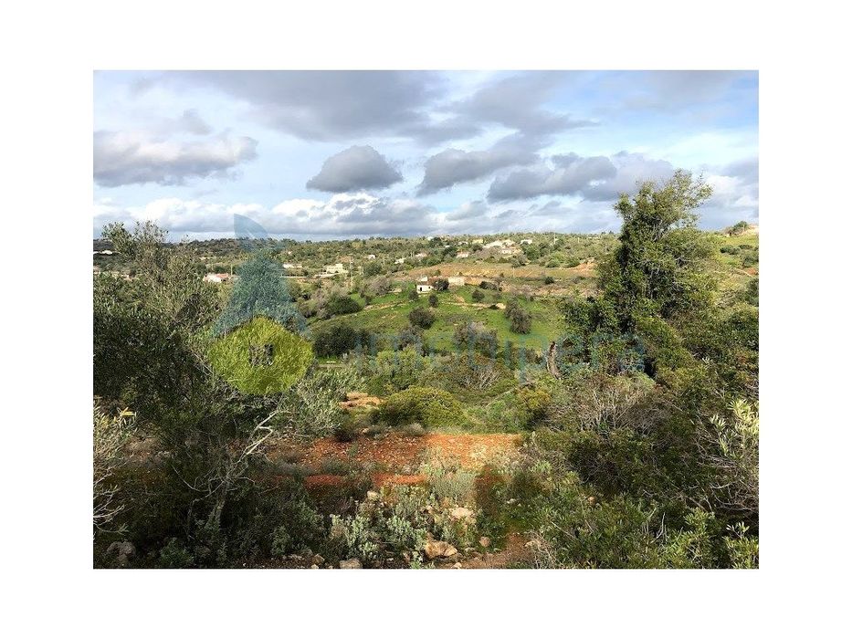 Excelente Terreno Rústico Com Duas Parcelas