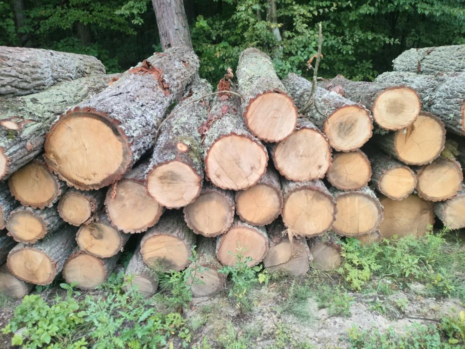 Drewno opałowe liściaste i iglaste