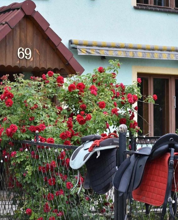 Agroturystyka Przy Stajni