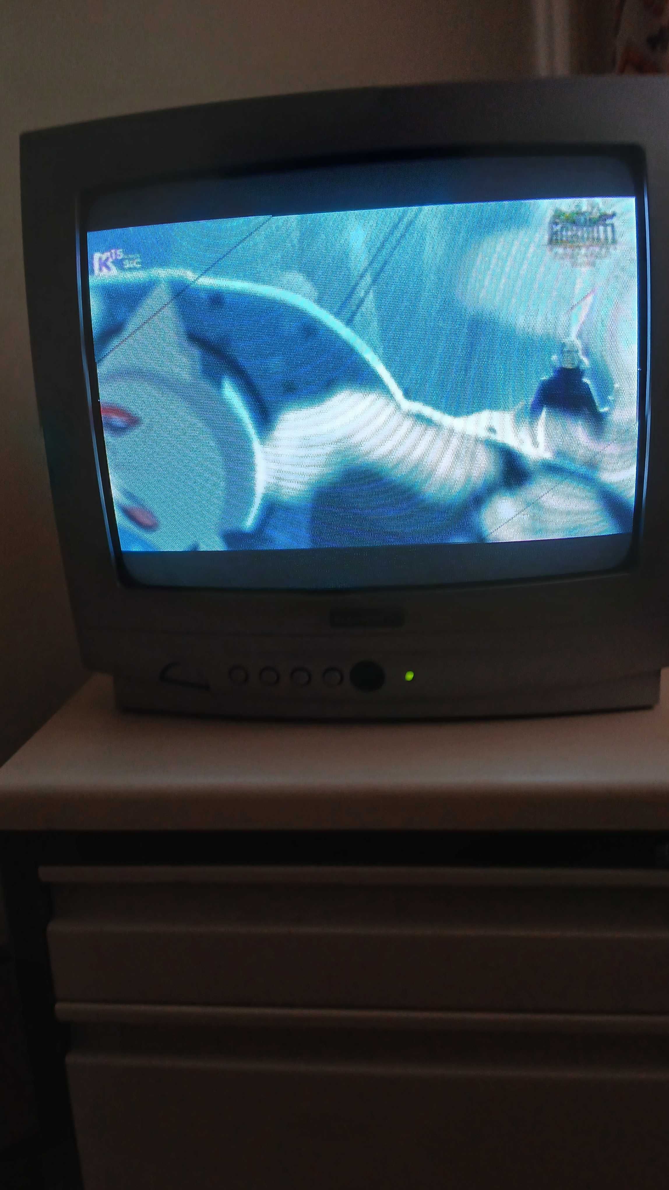 Televisão de 30 cm