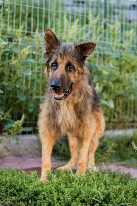 Laki wyrwany z piekła chce uwierzyć że może być dobrze