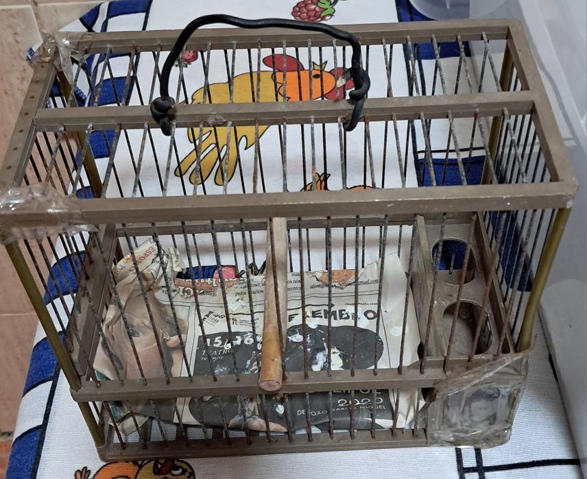 Transportadoras para aves