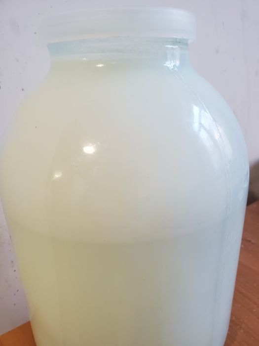 Продам домашнее молоко, масло.