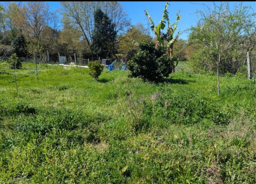 Terreno Rustico.