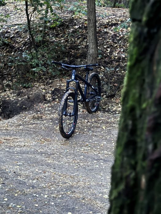 dirt octan one zircus