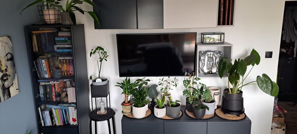 Szafka / Półka - seria mokko zamykana na dotyk.