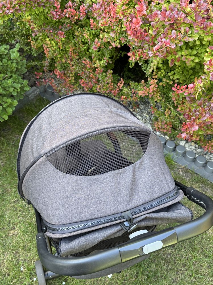 Coletto MAYA automatyczny wózek spacerowy do 22kg