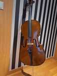 Violoncelo 3/4 Stentor Student I - Ideal para Iniciantes!
