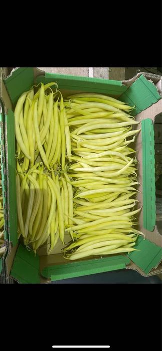 Fasola szparagowa 10kg