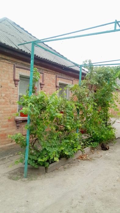 Продам два дома на одном участке по цене одного всеми удобствами. В Кр