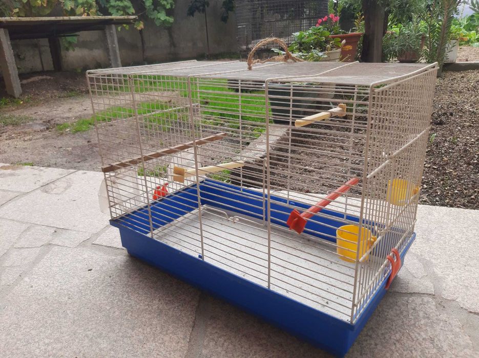 Gaiola para pássaros