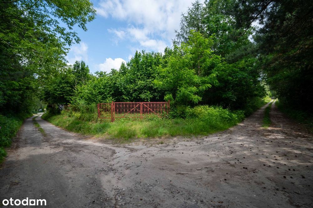 Twoje miejsce wśród zieleni – działka budowlana przy lesie, Krasnystaw