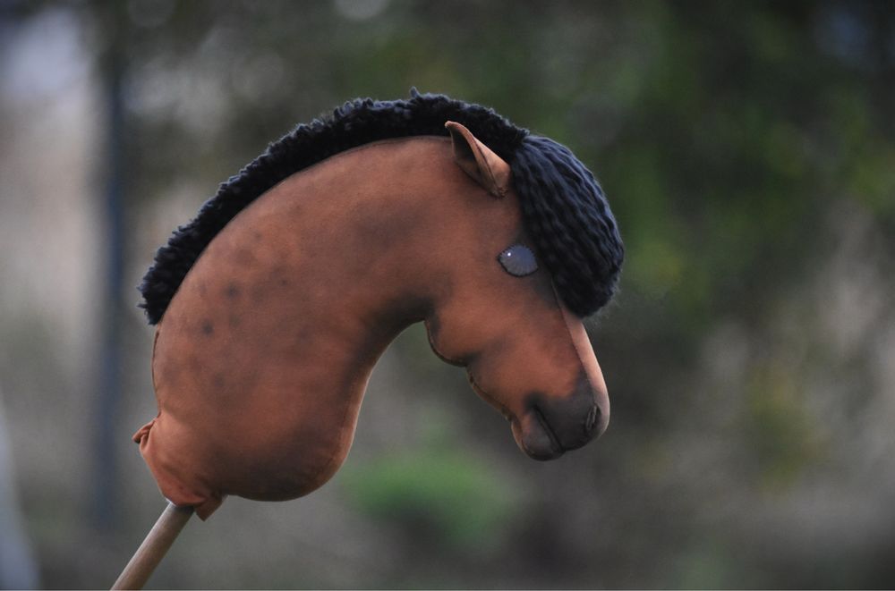 Hobby horse by aternon