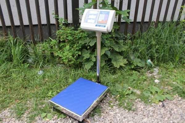 Waga Magazynowa Elektroniczna Sklepowa LCD 150kg Platformowa towarowa