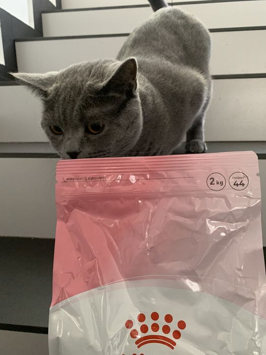 Royal Canin Mother & Babycat 2кг