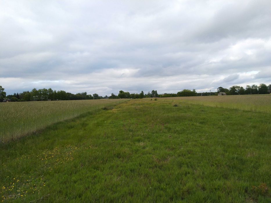 Działka rolno - budowlana w Leźnicy Małej gm. Łęczyca