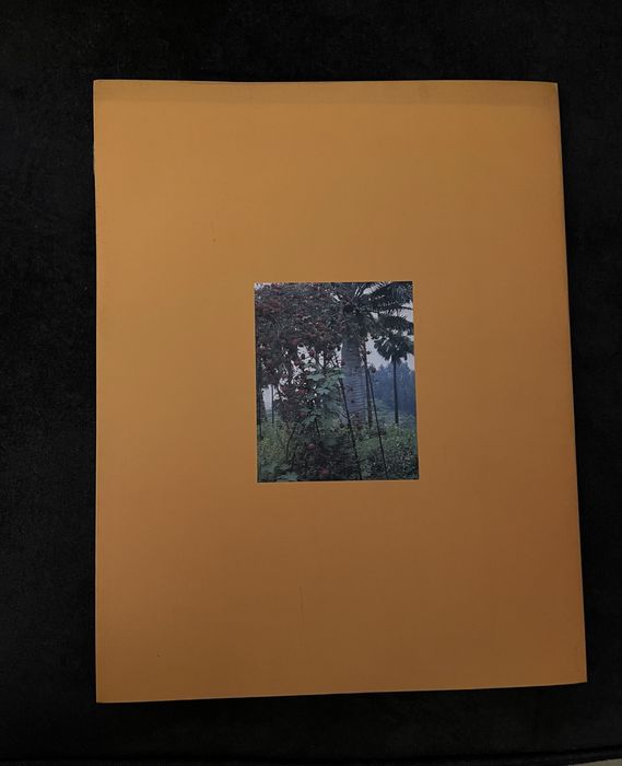 Livro Arte Natureza e a Cidade