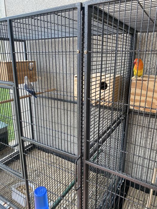 Viveiro para aves exóticas