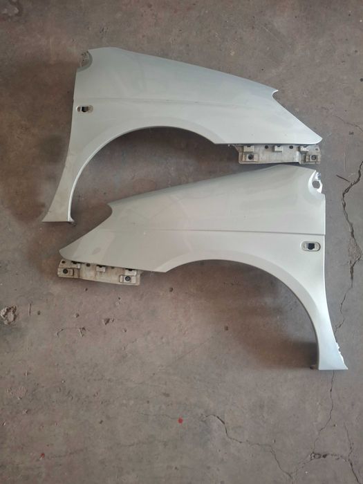 Portas e guarda-lamas Scenic I