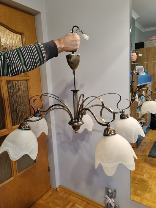 Żyrandol 5 kloszy