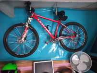 Bicicletas de varias marcas