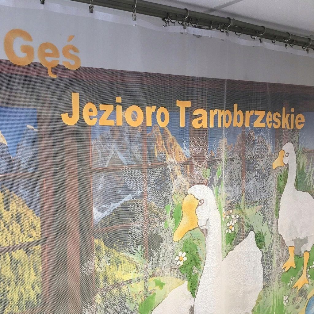 Firanka gąski 150x150cm firana żakard dla dzieci gęsi kolorowe firany