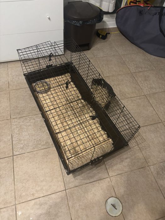 Gaiola grande de metal para porquinho india/ hamster