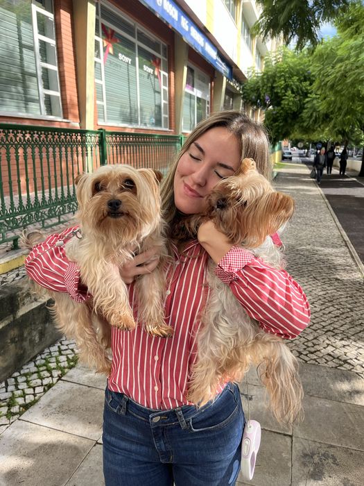 Pet Sitter e Dog Walker/Cuidadora de Animais (Lisboa)