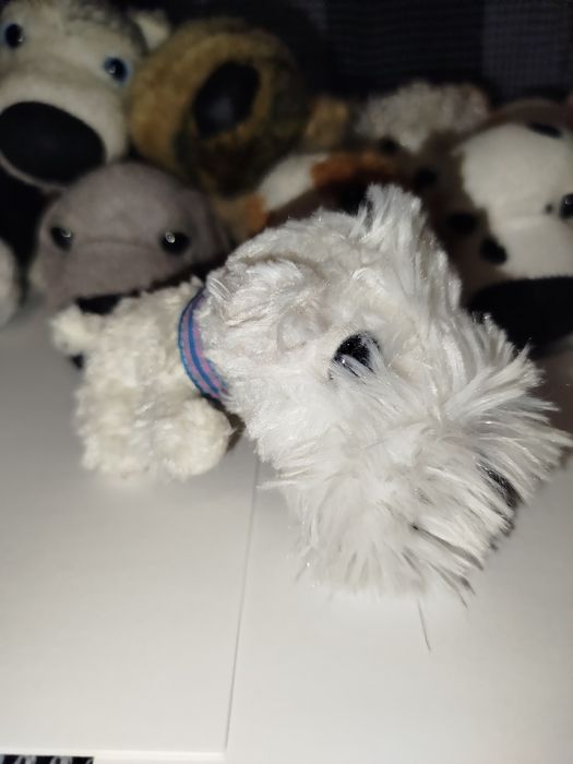 М'які іграшки the dog collection