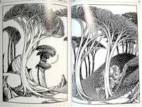 AA.VV. - Book Illustrations (porte incluído)