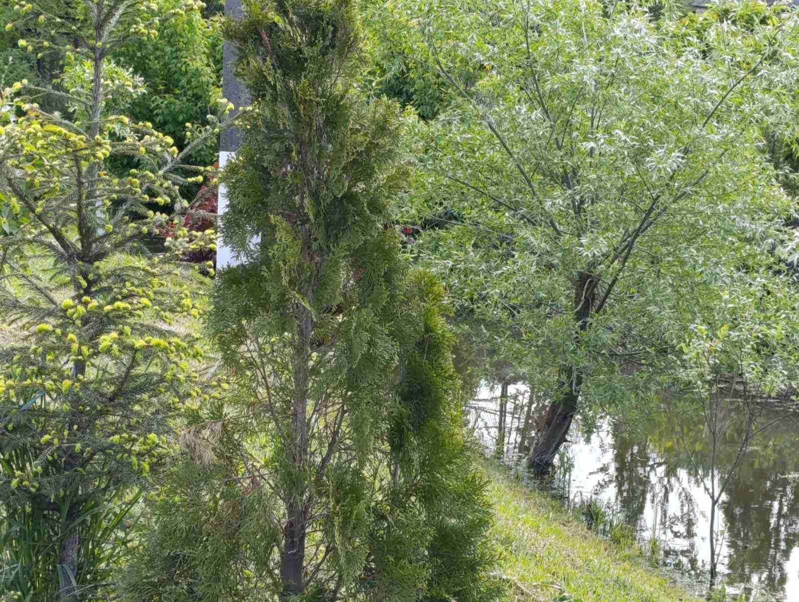 Тарасівка 7 соток з фундаментом 10*10 та підведеними комунікаціями.