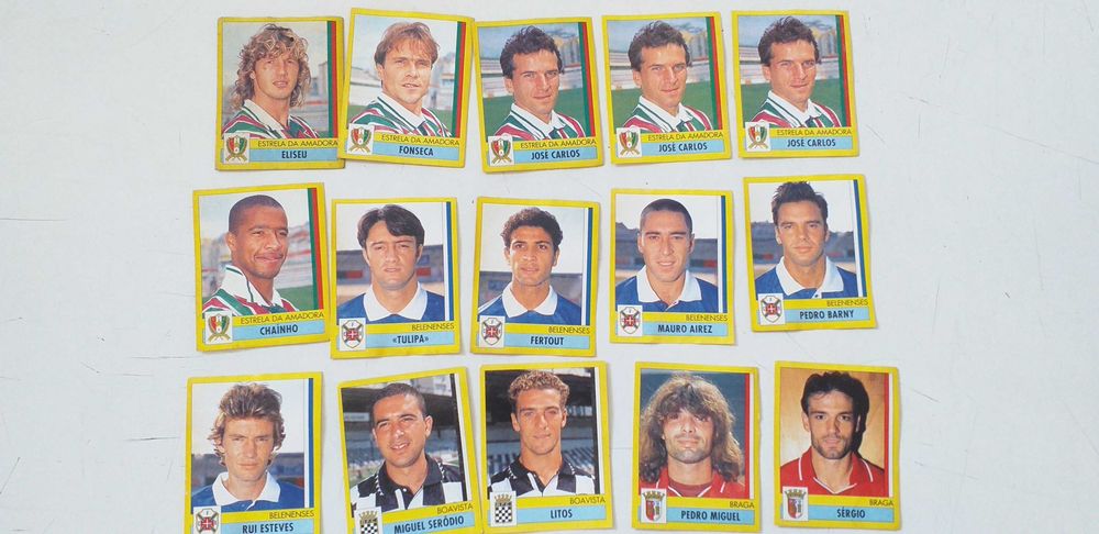 Panini 95/96                        .