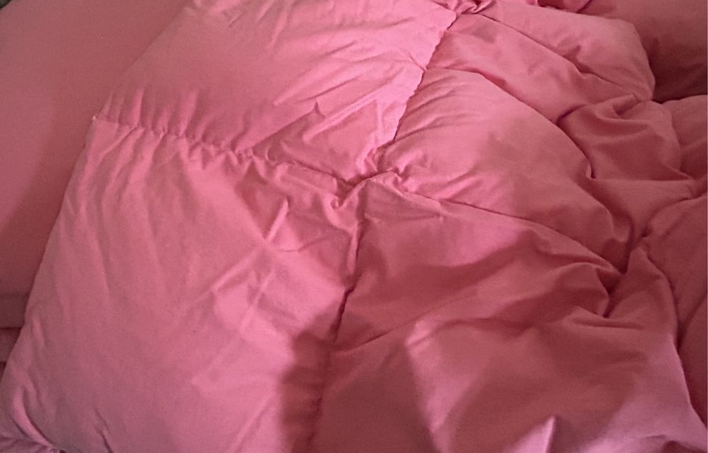 Pierzyna z puchu gesiego