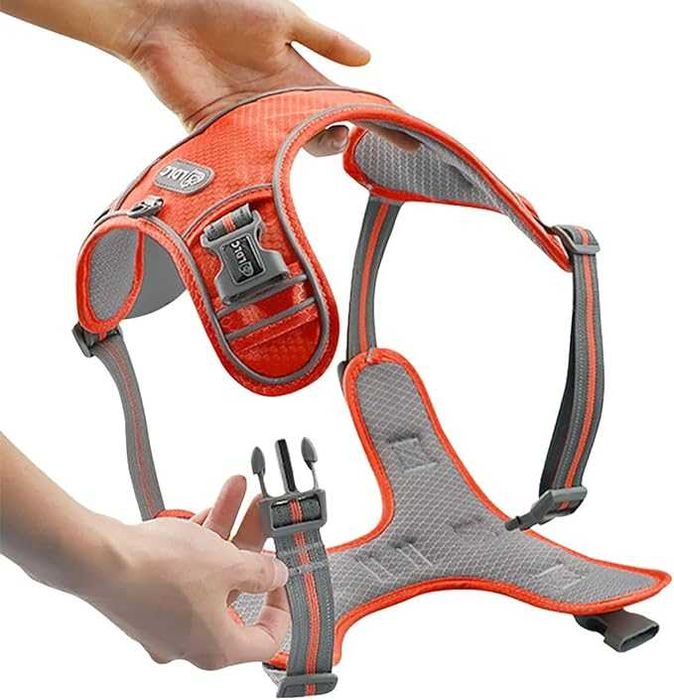 Шлея Fantsccy Air Dog для собак