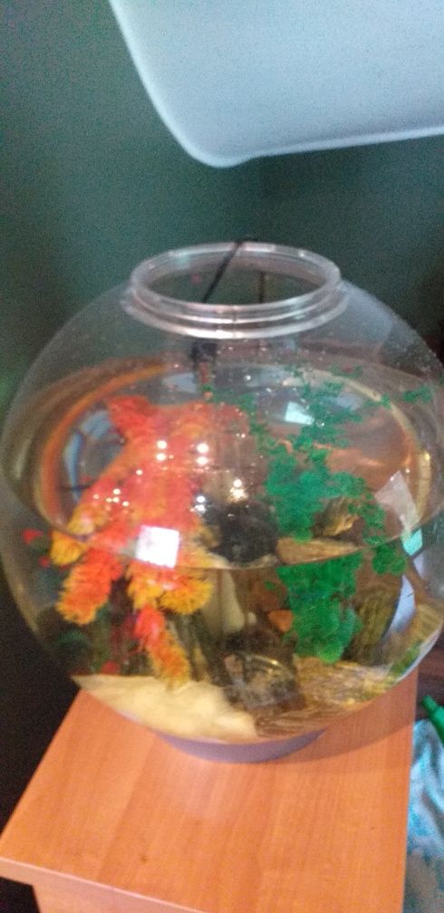 Akwarium Biorb 60 L