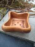 Donice bonsai bougenwilla