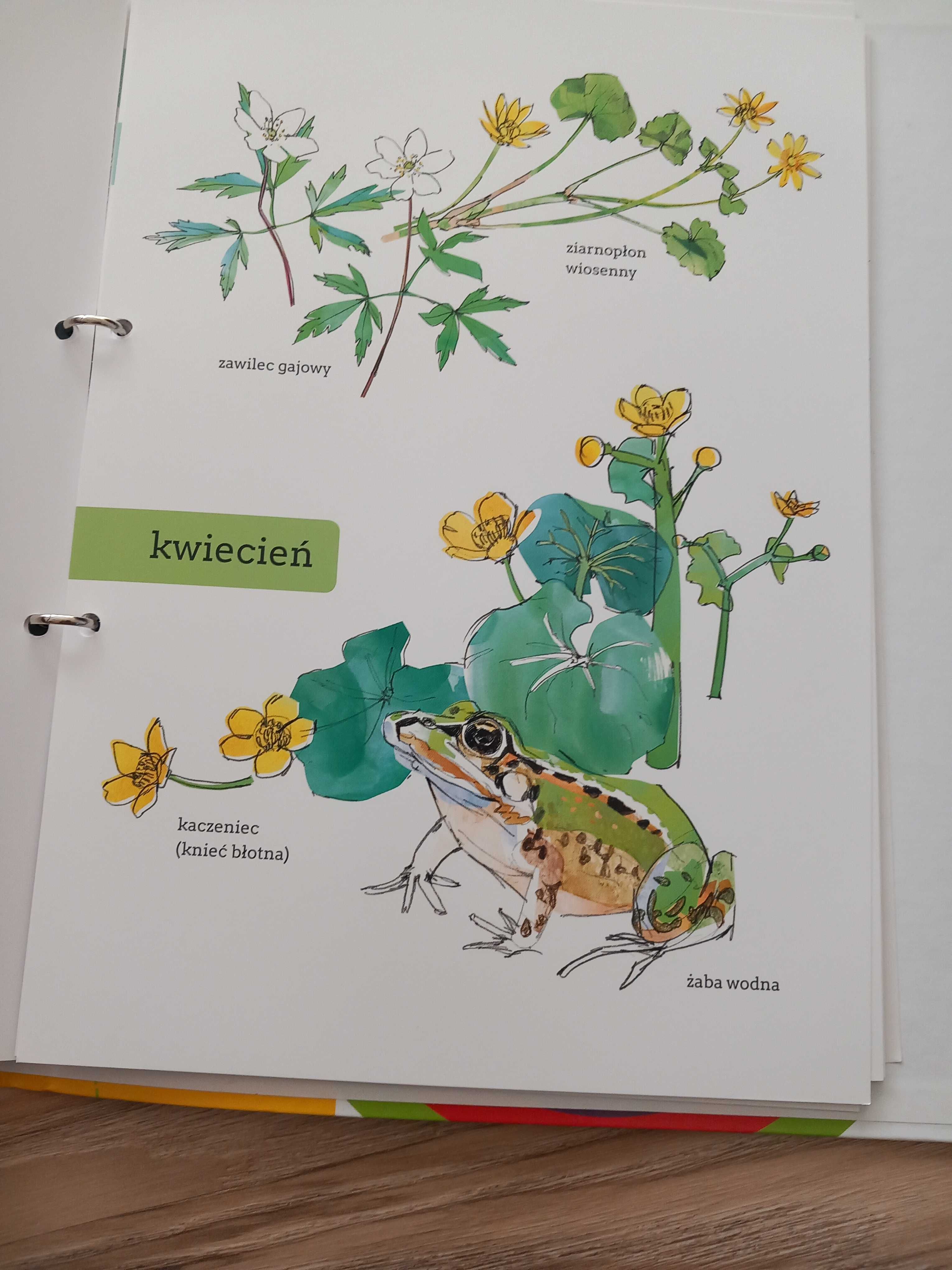 Dla przedszkolaka. Zeszyt obserwatora przyrody.