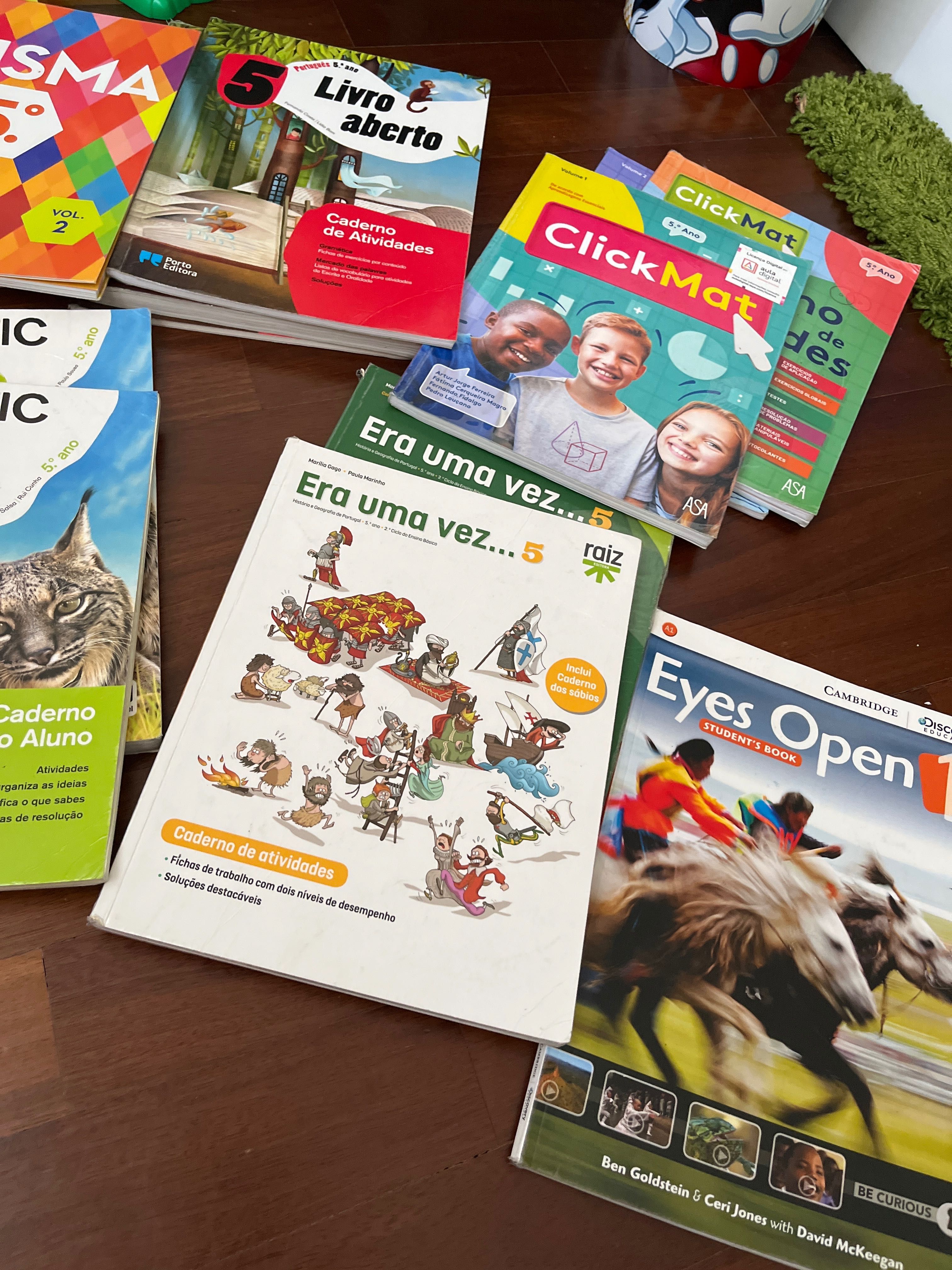 Livros escolares 5o ano