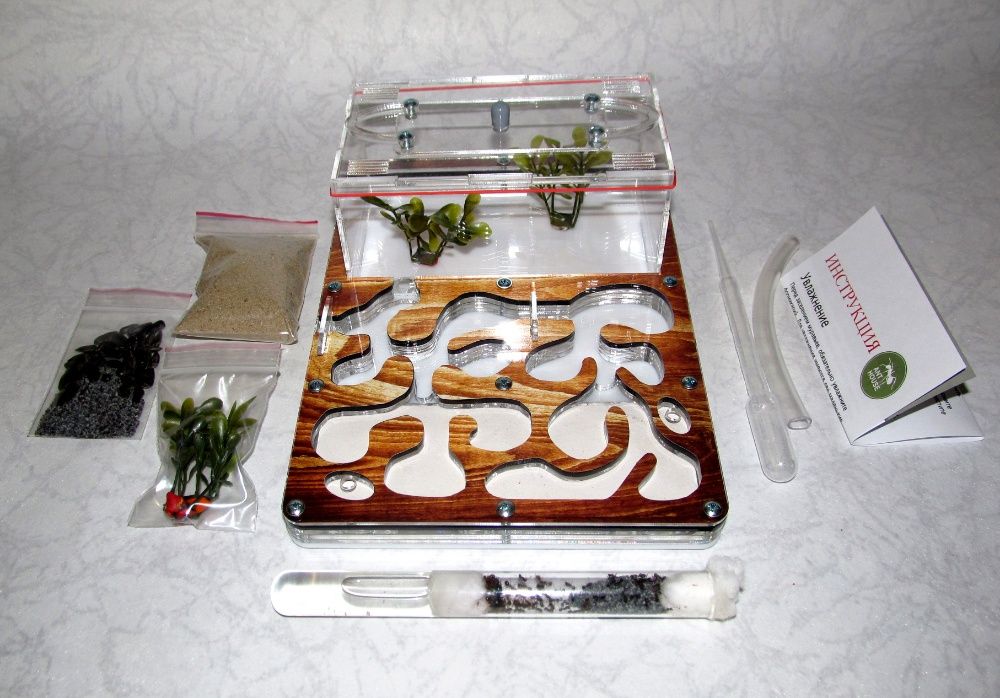 Муравьиная ферма (формикарий) «Anthouse» "дерево" + муравьи-жнецы