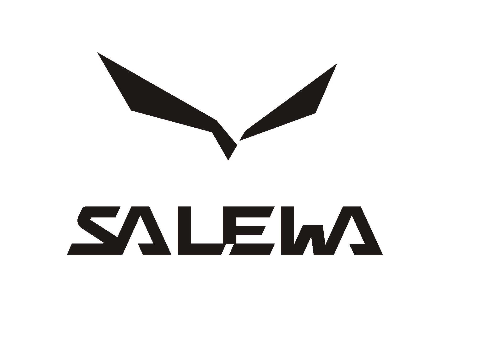 SALEWA termo naprasowanka t-shirt spodenki bluza  możliwa wysyłka